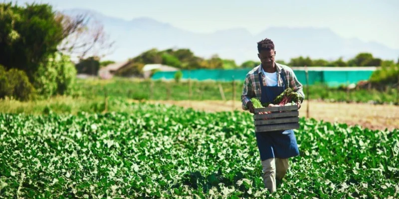 farmer